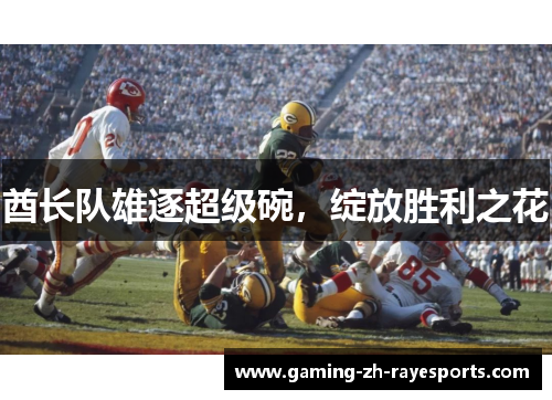 酋长队雄逐超级碗，绽放胜利之花