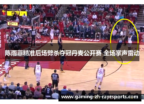 陈雨菲精准后场劈杀夺冠丹麦公开赛 全场掌声雷动 陈雨菲精准后场劈杀夺冠丹麦公开赛 全场掌声雷动