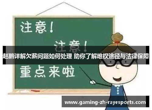 赵鹏详解欠薪问题如何处理 助你了解维权途径与法律保障