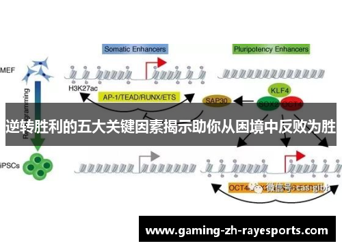 逆转胜利的五大关键因素揭示助你从困境中反败为胜