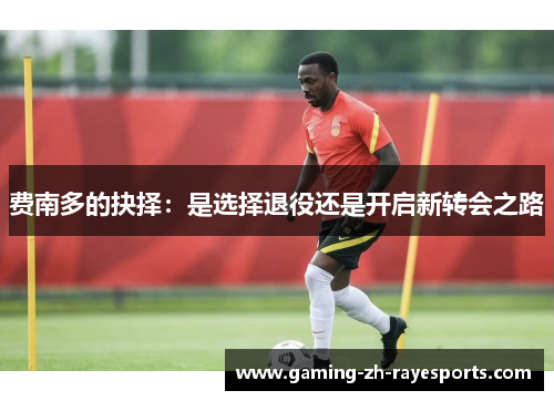 费南多的抉择：是选择退役还是开启新转会之路