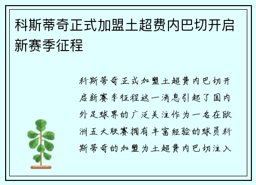 科斯蒂奇正式加盟土超费内巴切开启新赛季征程